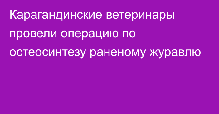 Карагандинские ветеринары провели операцию по остеосинтезу раненому журавлю