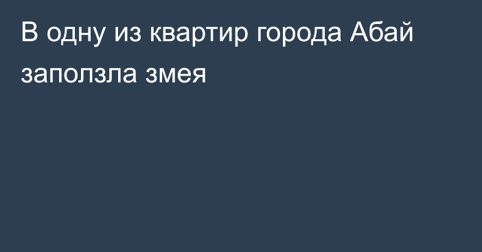 В одну из квартир города Абай заползла змея