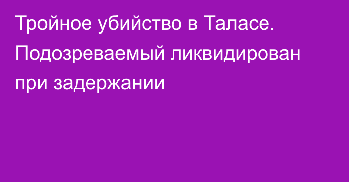 Тройное убийство в Таласе. Подозреваемый ликвидирован при задержании