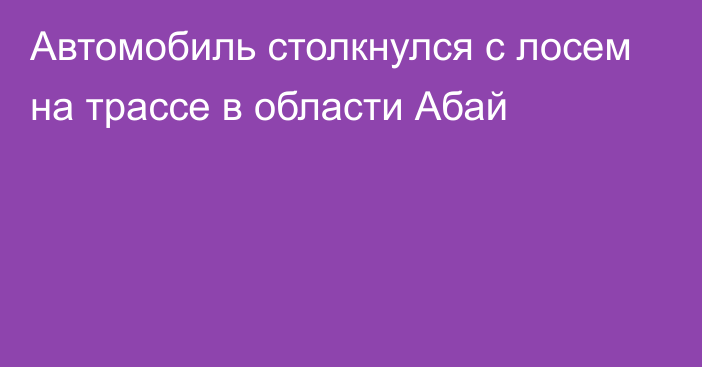 Автомобиль столкнулся с лосем на трассе в области Абай