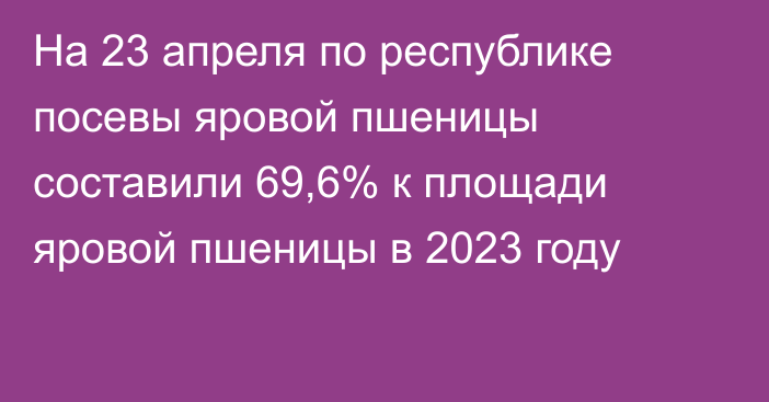 На 23 апреля по республике посевы яровой пшеницы составили 69,6% к площади яровой пшеницы в 2023 году