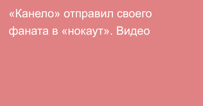 «Канело» отправил своего фаната в «нокаут». Видео