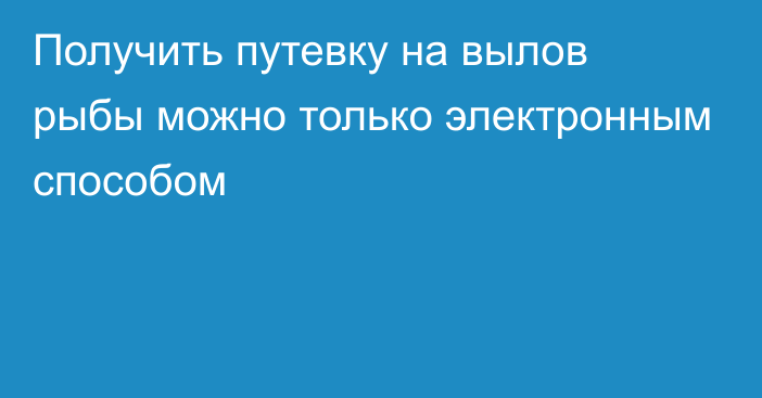 Получить путевку на вылов рыбы можно только электронным способом