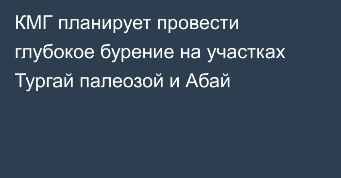 КМГ планирует провести глубокое бурение на участках Тургай палеозой и Абай