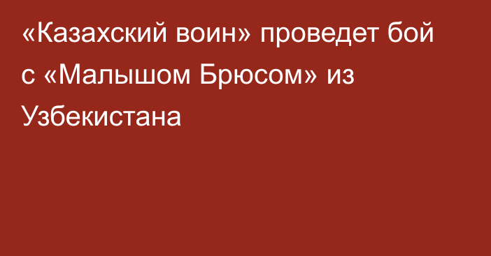 «Казахский воин» проведет бой с «Малышом Брюсом» из Узбекистана