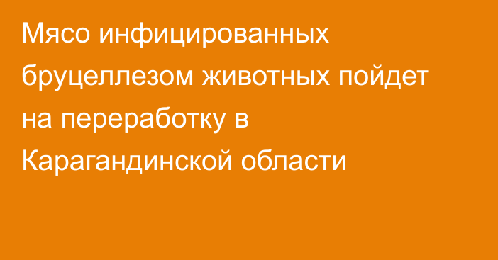 Мясо инфицированных бруцеллезом животных пойдет на переработку в Карагандинской области