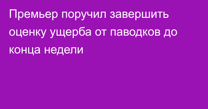 Премьер поручил завершить оценку ущерба от паводков до конца недели