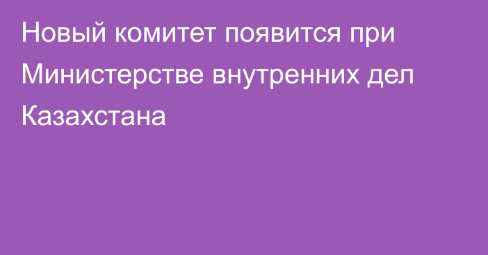 Новый комитет появится при Министерстве внутренних дел Казахстана