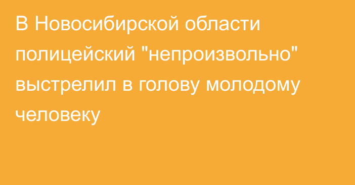 В Новосибирской области полицейский 