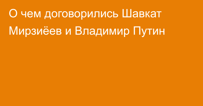 О чем договорились Шавкат Мирзиёев и Владимир Путин