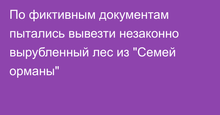 По фиктивным документам пытались вывезти незаконно вырубленный лес из 