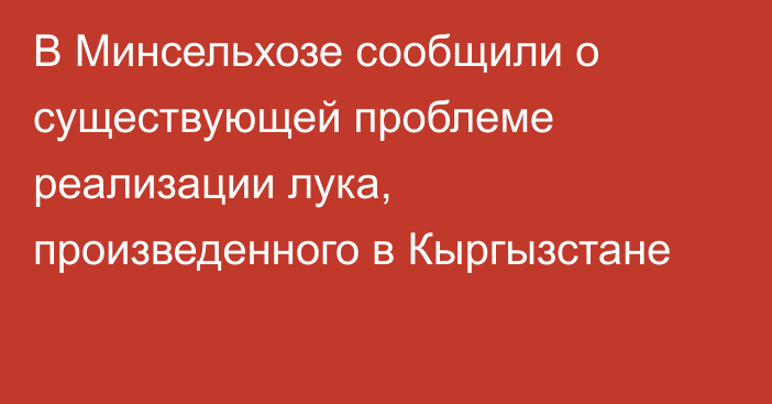 В Минсельхозе сообщили о существующей проблеме реализации лука, произведенного в Кыргызстане