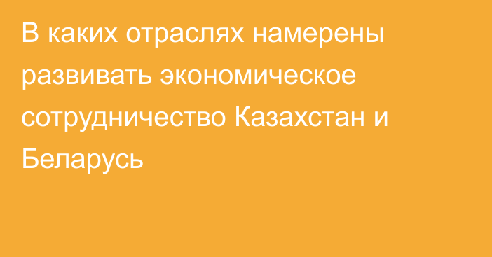 В каких отраслях намерены развивать экономическое сотрудничество Казахстан и Беларусь