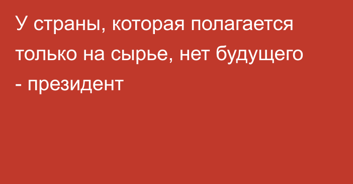 У страны, которая полагается только на сырье, нет будущего - президент