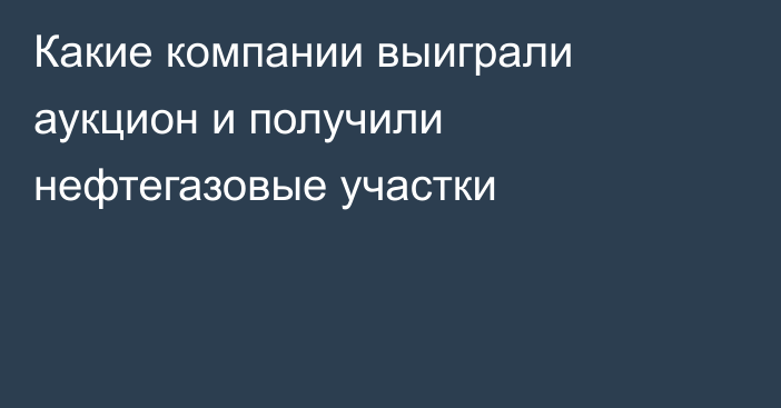 Какие компании выиграли аукцион и получили нефтегазовые участки