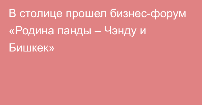 В столице прошел бизнес-форум «Родина панды – Чэнду и Бишкек»