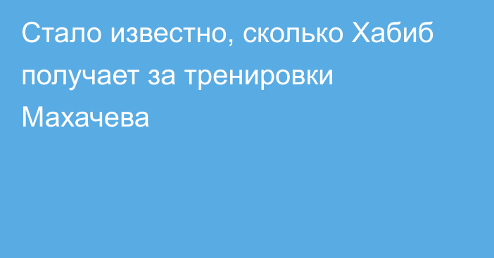 Стало известно, сколько Хабиб получает за тренировки Махачева