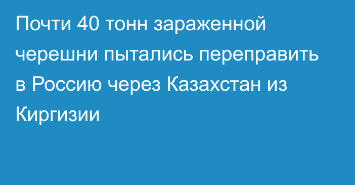 Почти 40 тонн зараженной черешни пытались переправить в Россию через Казахстан из Киргизии