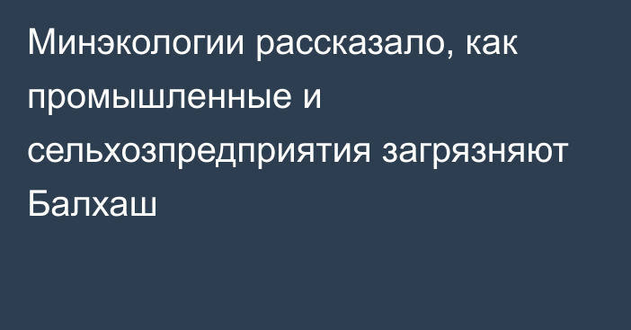 Минэкологии рассказало, как промышленные и сельхозпредприятия загрязняют Балхаш