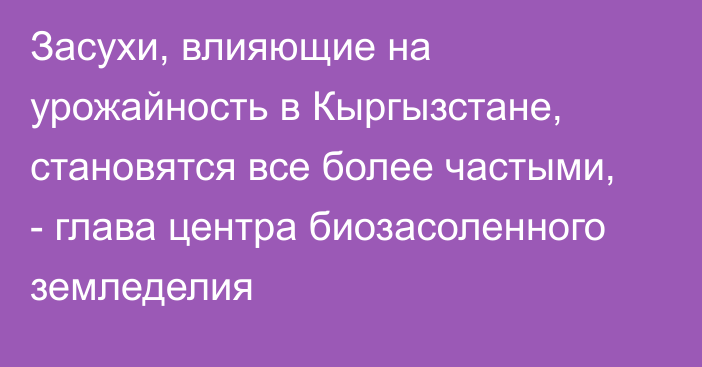 Засухи, влияющие на урожайность в Кыргызстане, становятся все более частыми, - глава центра биозасоленного земледелия