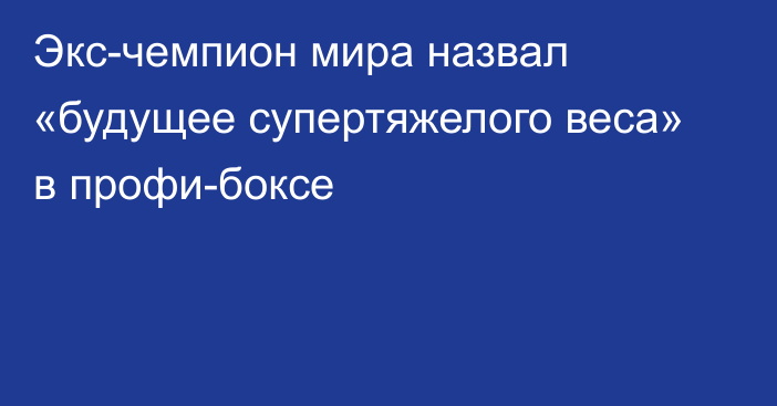 Экс-чемпион мира назвал «будущее супертяжелого веса» в профи-боксе