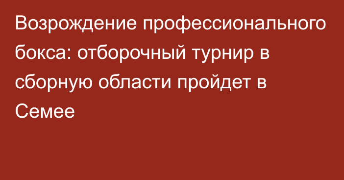 Возрождение профессионального бокса: отборочный турнир в сборную области пройдет в Семее