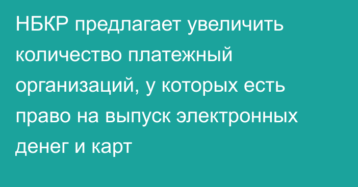 НБКР предлагает увеличить количество платежный организаций, у которых есть право на выпуск электронных денег и карт