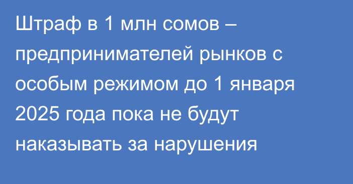 Штраф в 1 млн сомов – предпринимателей рынков с особым режимом до 1 января 2025 года пока не будут наказывать за нарушения