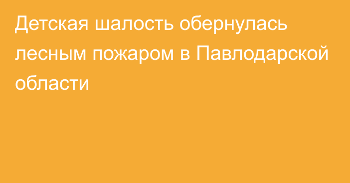 Детская шалость обернулась лесным пожаром в Павлодарской области