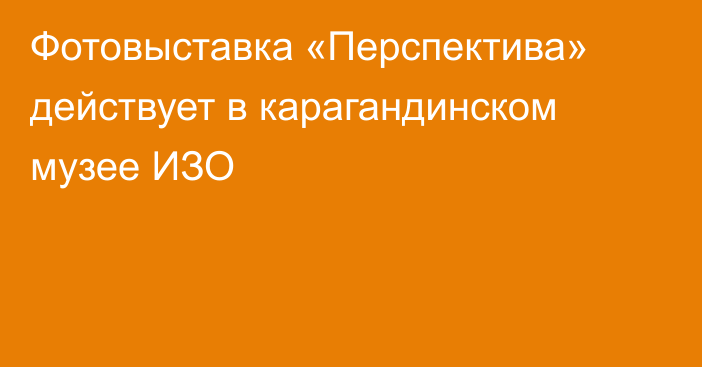 Фотовыставка «Перспектива» действует в карагандинском музее ИЗО