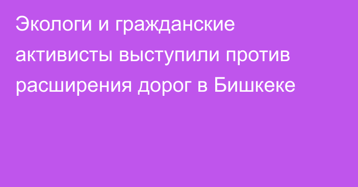 Экологи и гражданские активисты выступили против расширения дорог в Бишкеке