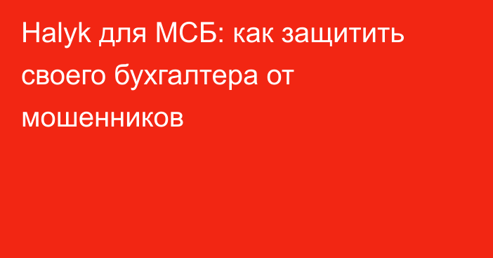 Halyk для МСБ: как защитить своего бухгалтера от мошенников