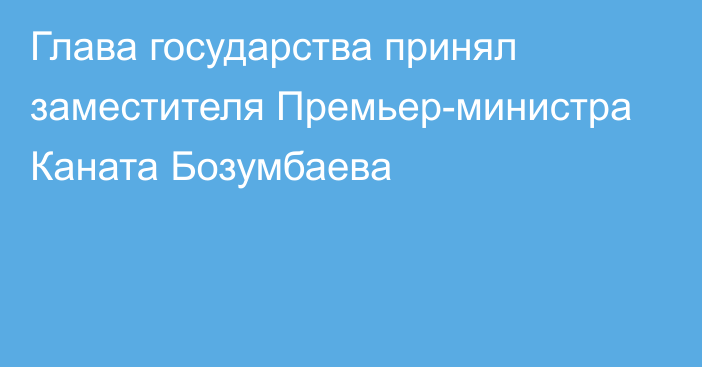 Глава государства принял заместителя Премьер-министра Каната Бозумбаева