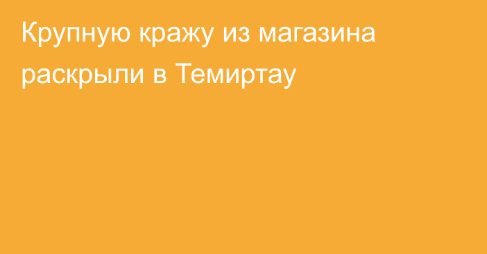 Крупную кражу из магазина раскрыли в Темиртау