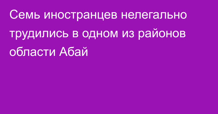 Семь иностранцев нелегально трудились в одном из районов области Абай