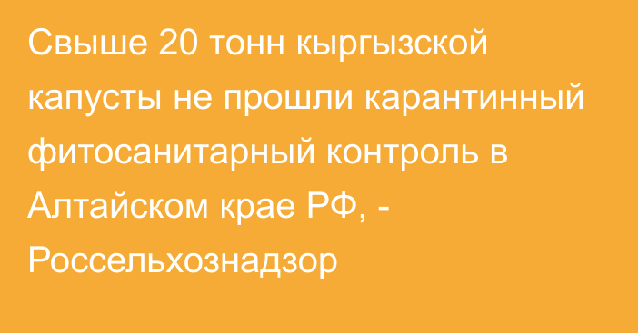 Свыше 20 тонн кыргызской капусты не прошли карантинный фитосанитарный контроль в Алтайском крае РФ, - Россельхознадзор