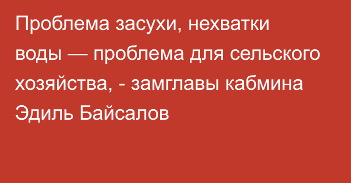 Проблема засухи, нехватки воды — проблема для сельского хозяйства, - замглавы кабмина Эдиль Байсалов