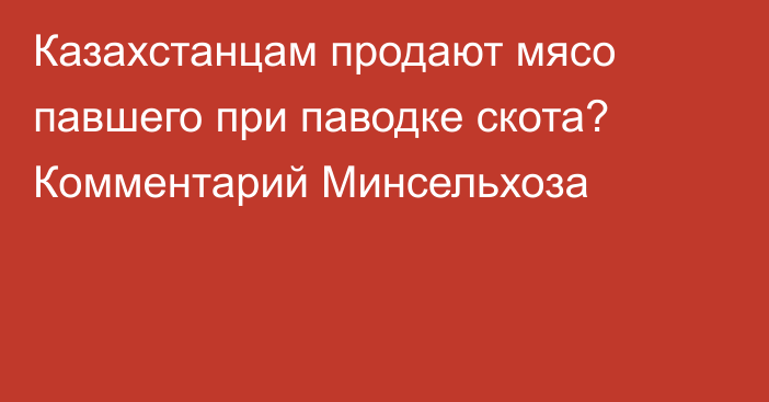 Казахстанцам продают мясо павшего при паводке скота? Комментарий Минсельхоза