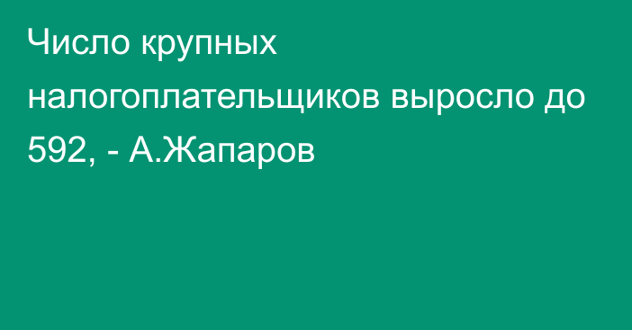 Число крупных налогоплательщиков выросло до 592, - А.Жапаров