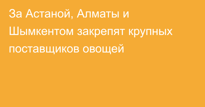 За Астаной, Алматы и Шымкентом закрепят крупных поставщиков овощей