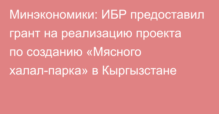 Минэкономики: ИБР предоставил грант на реализацию проекта по созданию «Мясного халал-парка» в Кыргызстане