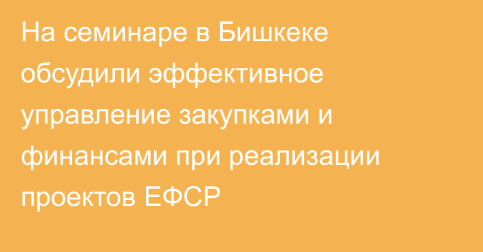 На семинаре в Бишкеке обсудили эффективное управление закупками и финансами при реализации проектов ЕФСР