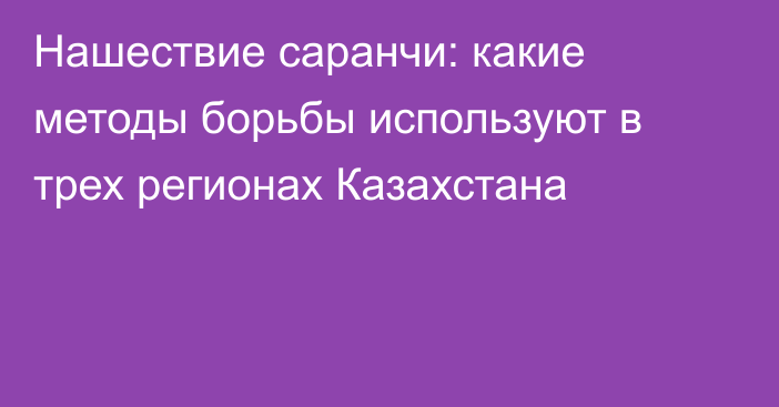 Нашествие саранчи: какие методы борьбы используют в трех регионах Казахстана