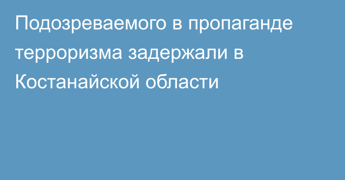 Подозреваемого в пропаганде терроризма задержали в Костанайской области