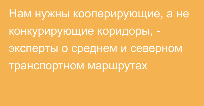 Нам нужны кооперирующие, а не конкурирующие коридоры, - эксперты о среднем и северном транспортном маршрутах