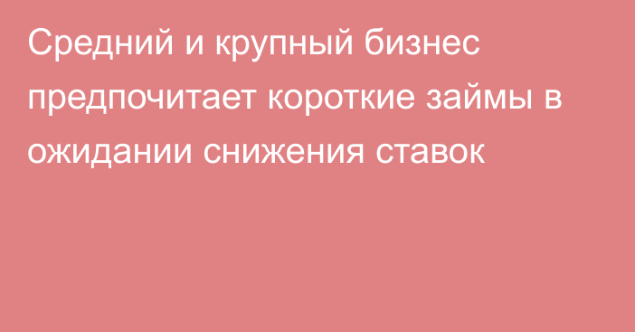 Средний и крупный бизнес предпочитает короткие займы в ожидании снижения ставок