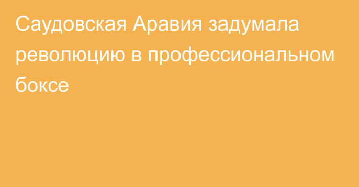 Саудовская Аравия задумала революцию в профессиональном боксе