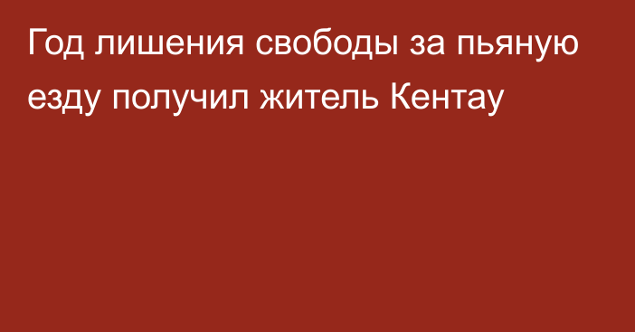 Год лишения свободы за пьяную езду получил житель Кентау