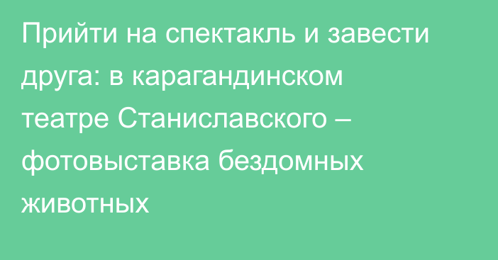 Прийти на спектакль и завести друга: в карагандинском театре Станиславского – фотовыставка бездомных животных