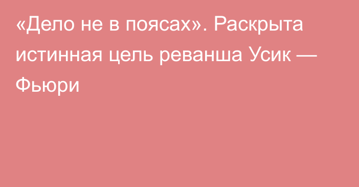 «Дело не в поясах». Раскрыта истинная цель реванша Усик — Фьюри